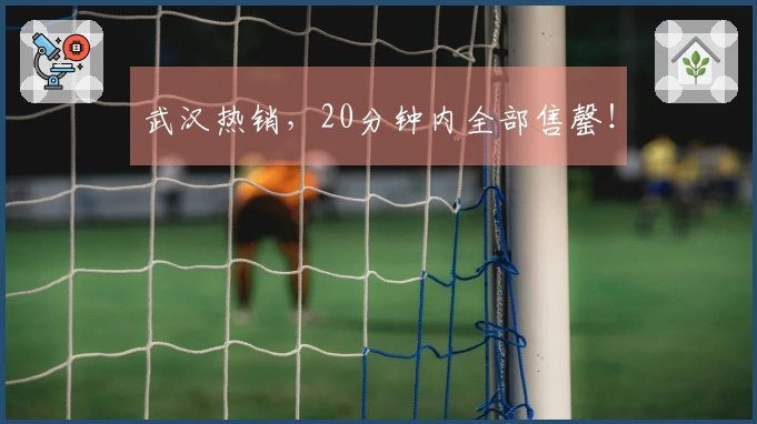 武汉热销，20分钟内全部售罄！