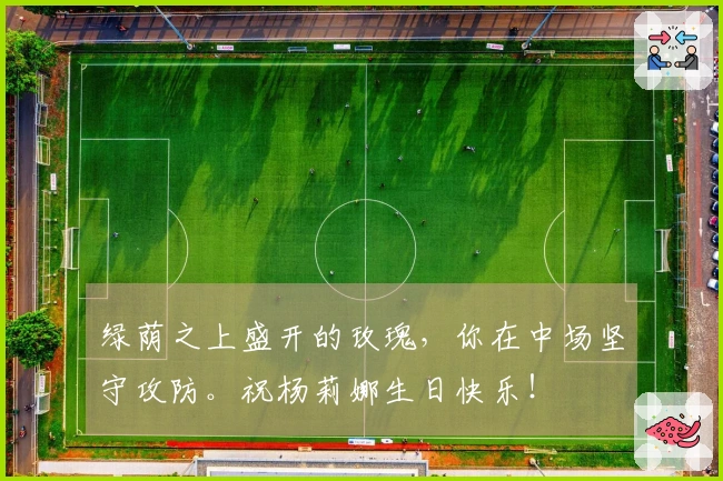 绿荫之上盛开的玫瑰，你在中场坚守攻防。祝杨莉娜生日快乐！