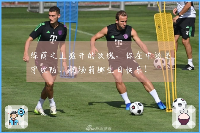 绿荫之上盛开的玫瑰，你在中场坚守攻防。祝杨莉娜生日快乐！