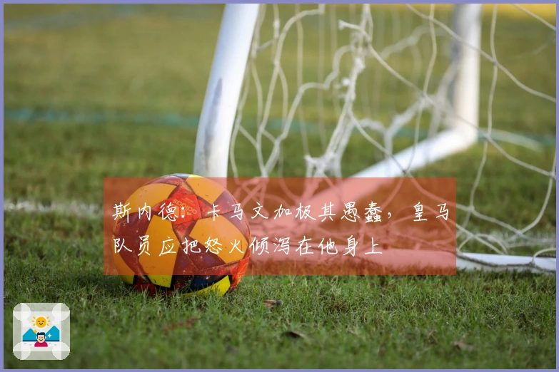 斯内德：卡马文加极其愚蠢，皇马队员应把怒火倾泻在他身上